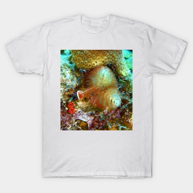 Christmas Tree Worm T-Shirt by Scubagirlamy